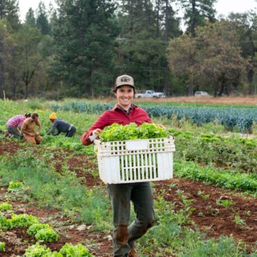 Strawberry Picking Places in Yuba City California