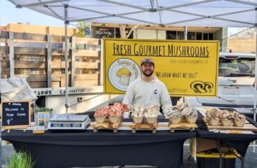 Sunday Markets in Alameda California