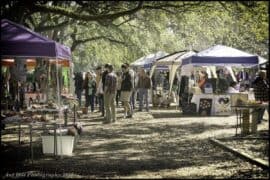 Sunday Markets in Albany Georgia