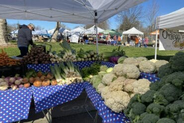 Sunday Markets in Carmichael California