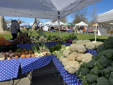 Sunday Markets in Carmichael California