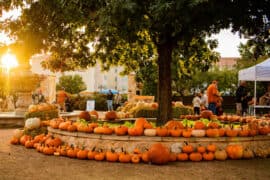 Sunday Markets in Odessa Texas