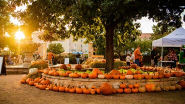 Sunday Markets in Odessa Texas