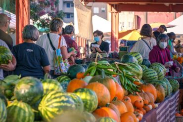 Sunday Markets in Phoenix Arizona