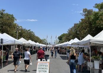 Sunday Markets in Riverside California