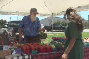 Sunday Markets in Warner Robins Georgia