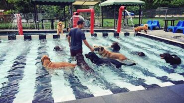 Swimming Pools and Aquatic Centres in Bukit Timah