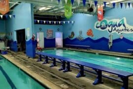 Swimming Pools and Aquatic Centres in Chino California