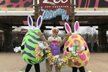 Things to do at Easter for Kids in Columbus Georgia