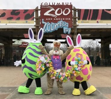 Things to do at Easter for Kids in Columbus Georgia