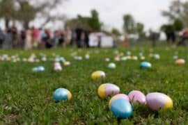 Things to do at Easter for Kids in Las Cruces New Mexico