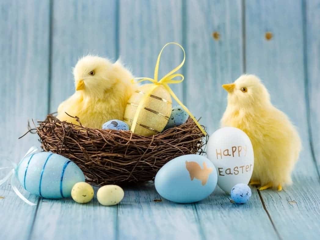 Things to do at Easter for Kids in Redlands California