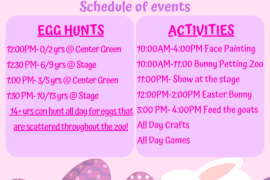 Things to do at Easter for Kids in Victoria Texas