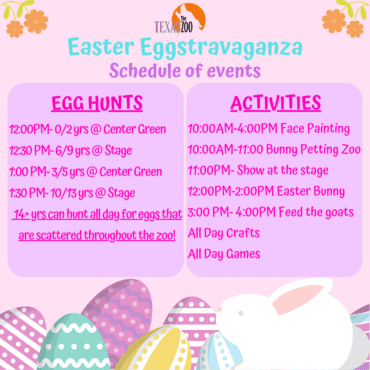 Things to do at Easter for Kids in Victoria Texas