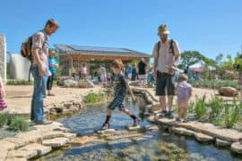 Things to do with Kids in Leander Texas