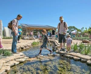 Things to do with Kids in Leander Texas