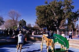 Things to do with Kids in Mountain View California