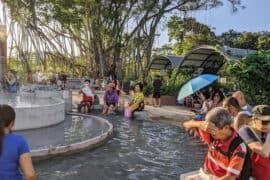 Things to do with Kids in Sembawang