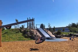 Things to do with Toddlers in Alameda California