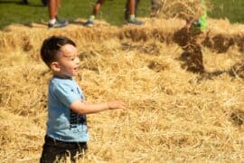 Things to do with Toddlers in Dublin California