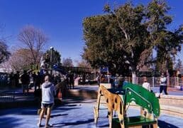 Things to do with Toddlers in Mountain View California