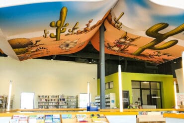 Toy Libraries in Buckeye Arizona