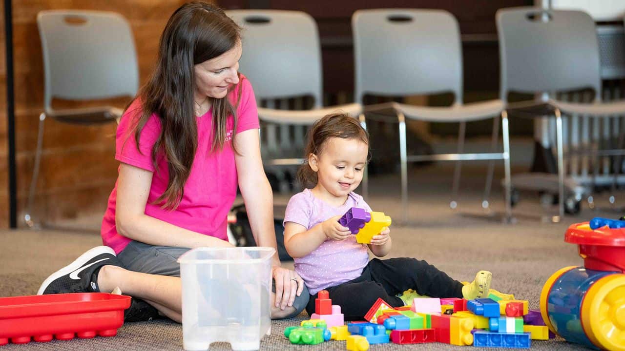 Toy Libraries in Federal Way Washington