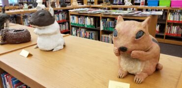 Toy Libraries in Phoenix Arizona