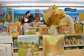 Toy Libraries in Spring Texas