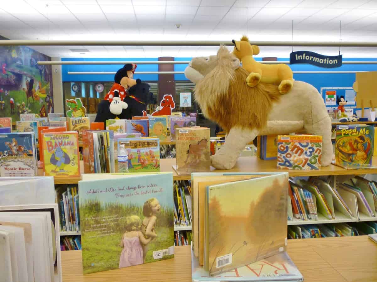 Toy Libraries in Spring Texas