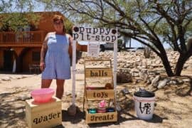 Toy Libraries in Tucson Arizona