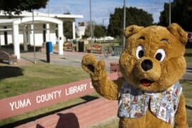 Toy Libraries in Yuma Arizona