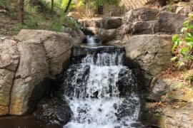 Waterfalls in Arlington Texas