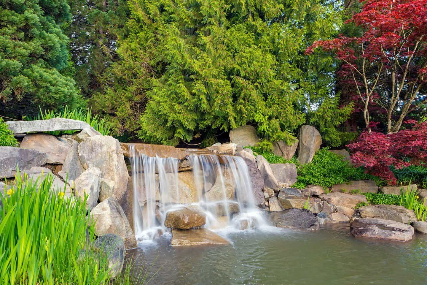 Waterfalls in Bellevue Washington