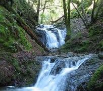 Waterfalls in Fremont California