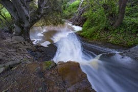 Waterfalls in Hayward California