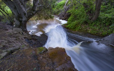 Waterfalls in Hayward California