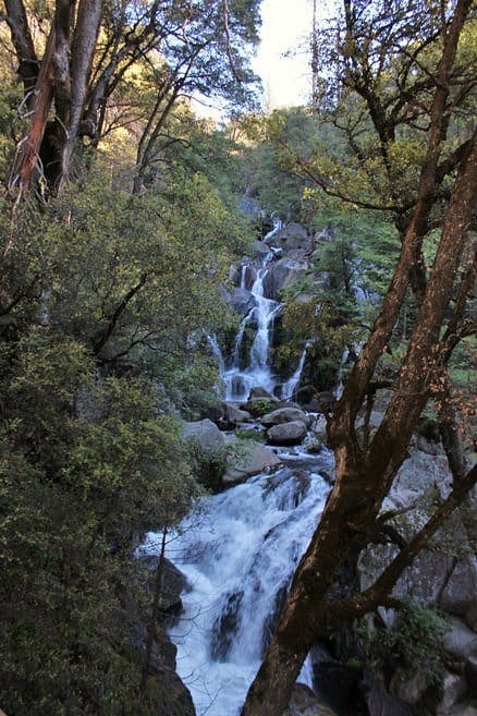 Waterfalls in Madera California