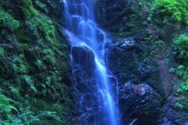 Waterfalls in Milpitas California