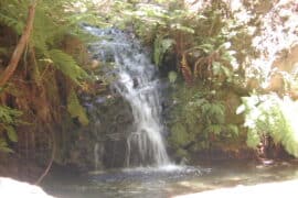 Waterfalls in San Mateo California