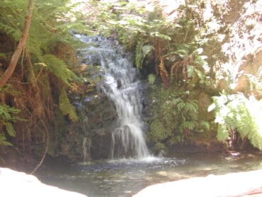 Waterfalls in San Mateo California