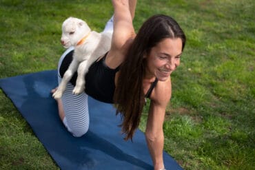 Yoga in Lodi California