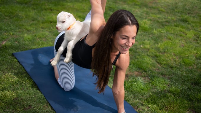 Yoga in Lodi California