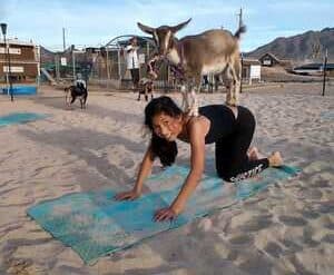 Yoga in Queen Creek Town Arizona