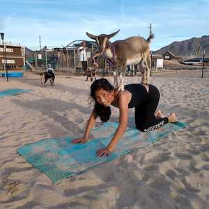 Yoga in Queen Creek Town Arizona