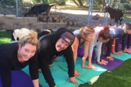 Yoga in San Marcos California