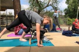 Yoga in Santa Clarita California