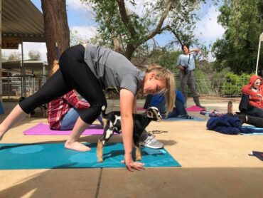 Yoga in Santa Clarita California