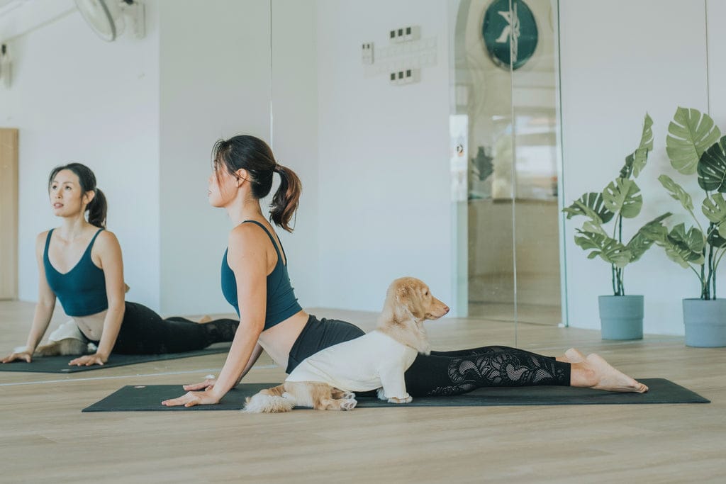 Yoga in Serangoon