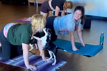 Yoga in Tucson Arizona